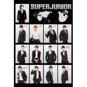   SuJu Siwon Kyuhyun (poster sent from USA in PVC pipe): Everything Else