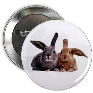  Gray Brown BUNNY RABBIT Easter Animals 2.25 Pinback Button 