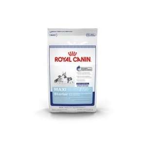  Royal Canin Maxi Starter 30 Dry Dog Food 6lb: Pet Supplies