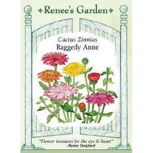  Zinnia   Raggedy Anne Seeds Patio, Lawn & Garden