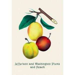  Paper poster printed on 12 x 18 stock. Jefferson and 