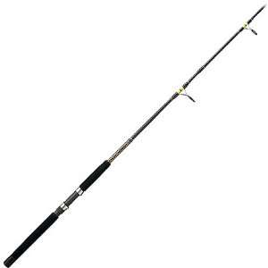 Shakespeare Ugly Stik Big Water Surf Spinning Rod  Sports 
