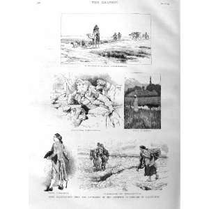  1884 CONNEMARA MARKET FOLK CAMEL DESERT OIL PAINTINGS 