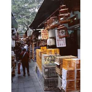  Bird Market, Yuen Po Street Bird Garden, Mong Kok, Kowloon 