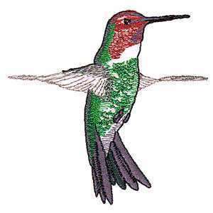 Anna’s Hummingbird Cute Humming Bird Rare Iron on Patch  