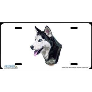 4290 Siberian Husky Dog License Plate Car Auto Novelty Front Tag by 