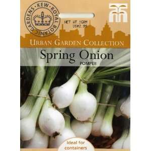  Thompson & Morgan 4813 Urban Garden Onion Spring Pompeii 
