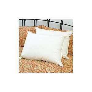  Hypodown 700 Fill Down Pillows   Queen: Home & Kitchen