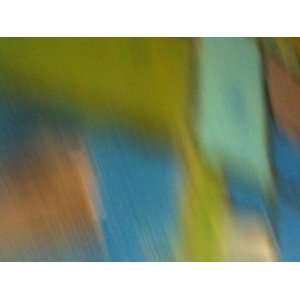  Going by So Fast, Limited Edition Photograph, Home Decor 