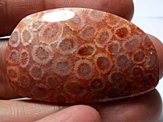 72CT HUGE Translucent UNTREATED Brown PINK Agatized CORAL FOSSIL ~100% 