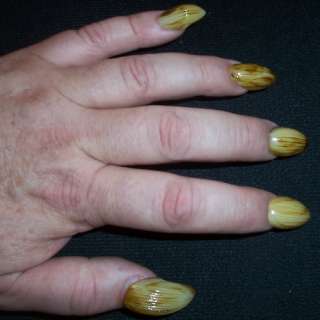 Fake Claws Finger Nails Werewolf False Fingernails 628481200537  