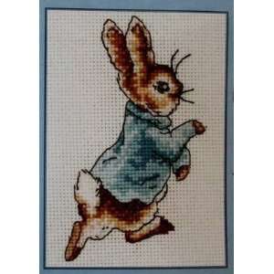   Mini Counted Cross Stitch Kit 4 1/4x3 16 Count: Everything Else