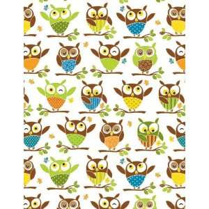  Owl Gift Wrap Paper Its a Hoot Health & Personal Care