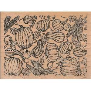  Pumpkin Gourd and Corn Background Wood Mounted Rubber 