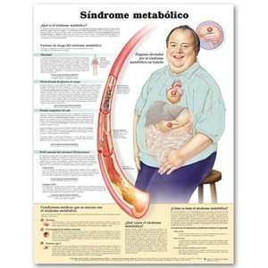Metabolic Syndrome in Spanish Chart/Poster  Industrial 