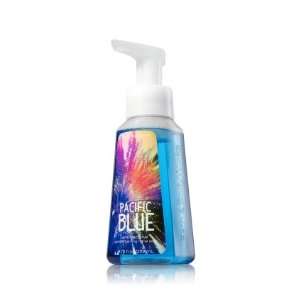   Works Antibacterial Gentle Foaming Hand Soap, Pacific Blue: Beauty