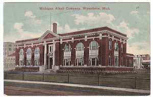 Wyandotte MI Michigan Alkali Company 1900s Postcard  