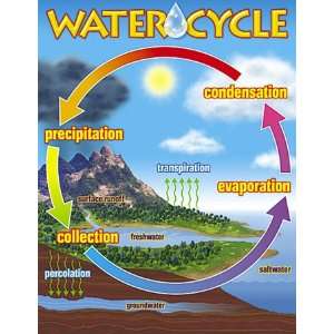 Chart The Water Cycle