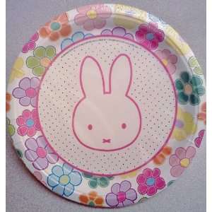  Miffy / Nijntje Bunny Rabbit Birthday Party 9 Dinner 
