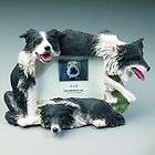 Border Collie Picture Frame 4x6 #71