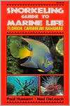 Snorkeling Guide to Marine Life Florida, Caribbean, Bahamas