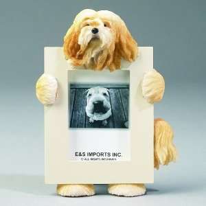   : Lhasa Apso Picture Frame Dog Breed Gift New in Box: Everything Else