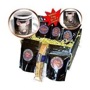 Farm Animals   Pig   Coffee Gift Baskets Grocery & Gourmet Food