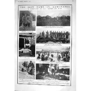  1920 BEAR SKIN KAMCHATKA WHITE FOX WOLF SABLE TEUTON 