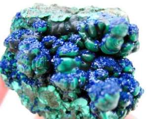 Royal Blue Azurite Geode w/Malachite Balls group  AZ053  