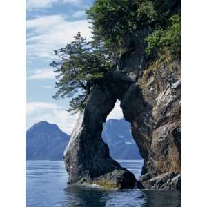 Arch on Edge of Threehole Bay, Kenai Fjords, Aialik Peninsula, Alaska 