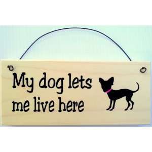  Chihuahua Sign MY DOG LETS ME LIVE HERE 