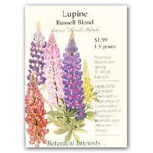  Lupine Russell Blend Seed Patio, Lawn & Garden