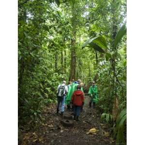  Walking in the Rain Forest, Tortuguero National Park 