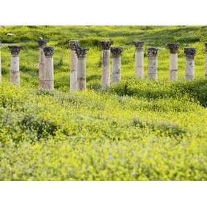  Roman columns rising above field of wildflowers 
