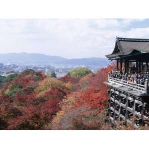  Autumn Leaves, Kiyomizu Temple (Kiyomizu Dera), Kyoto 
