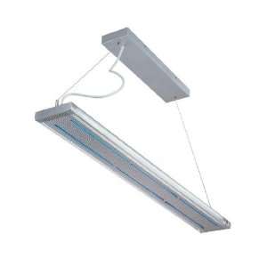  Viggo Blue Liner Accent Fluorescent Ceiling Lamp