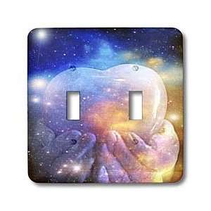   Art  Photography   Light Switch Covers   double toggle switch: Home