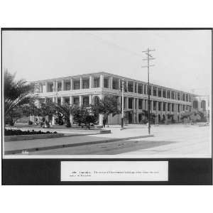 Jamaica,the group of government buildings which form the civic center 