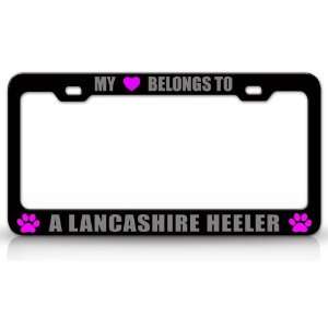   HEELER Dog Pet Steel Metal Auto License Plate Frame Tag Holder, Black