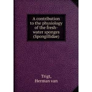    water sponges (Spongillidae): Herman van Trigt:  Books