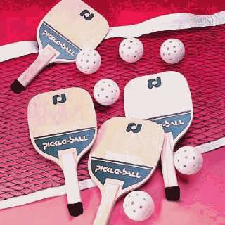  Paddle Sports Pickle   Ball Master Set: Sports & Outdoors