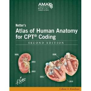  Medical Association Netters Atlas of Human Anatomy for CPT Coding 