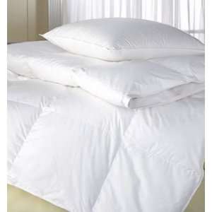  AZM 410TC WHITE GOOSE DOWN COMFORTER QUEEN: Everything 
