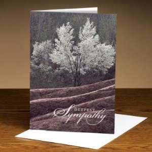  Successories Sympathy White Tree 25 Pack Greeting Cards 