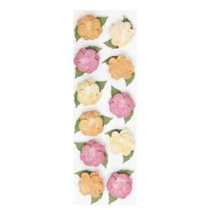  Martha Stewart Crafts Layered Begonia Stickers Arts 