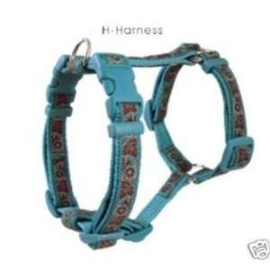   Douglas Paquette Dog H TYPE Harness BROCADE TURQ MED: Kitchen & Dining