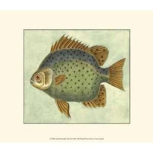  Small Butterfly Fish II   Poster (13x9.5): Home & Kitchen