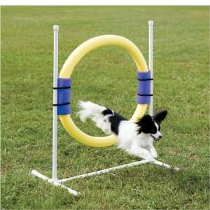  Petsafe Ring Jump