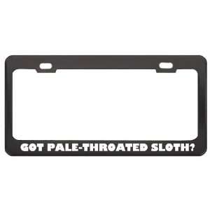 Got Pale Throated Sloth? Animals Pets Black Metal License Plate Frame 
