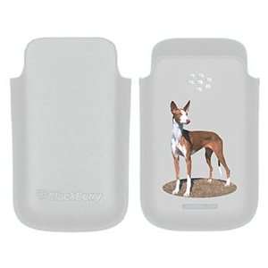  Ibizan Hound on BlackBerry Leather Pocket Case  